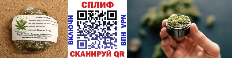 наркота  Буйнакск  mega вход  Печенье с ТГК конопля 