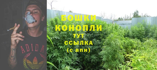ПСИЛОЦИБИНОВЫЕ ГРИБЫ Белоозёрский