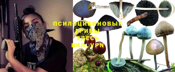метадон Белокуриха