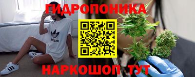 сатива Кимры