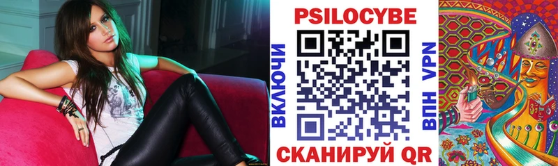 как найти   Буйнакск  Псилоцибиновые грибы прущие грибы 